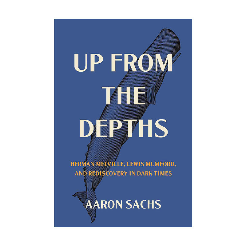 英文原版 Up from the Depths 来自深渊 赫尔曼·梅尔维尔 刘易斯·芒福德和黑暗时代的重新发现 Aaron Sachs 精装 进口英语书籍
