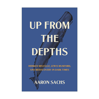 英文原版 Up from the Depths 来自深渊 赫尔曼·梅尔维尔 刘易斯·芒福德和黑暗时代的重新发现 Aaron Sachs 精装 进口英语书籍
