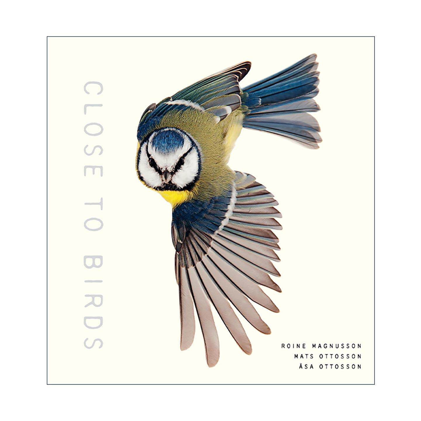 英文原版 Close To Birds 亲近鸟类 自然摄影与鸟类科普 精装 英文版 进口英语原版书籍
