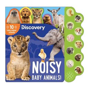 英文版 书籍 Baby 动物宝宝 10种声音 吵闹 Noisy Animals 进口英语原版 英文原版 发声书 Discovery