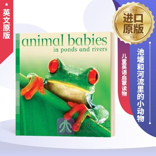 Rivers 小动物 Ponds 池塘和河流里 儿童英语启蒙读物 进口原版 Animal 英文版 英文原版 书籍 Babies 纸板书