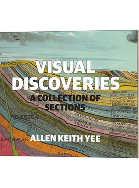 英文原版 Visual Discoveries A Collection of Sections 英文版 进口英语原版书籍