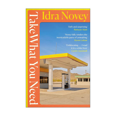 英文原版 Take What You Need 取你所需 Idra Novey畅销亲情小说 入选纽约客2023图书 英文版 进口英语原版书籍