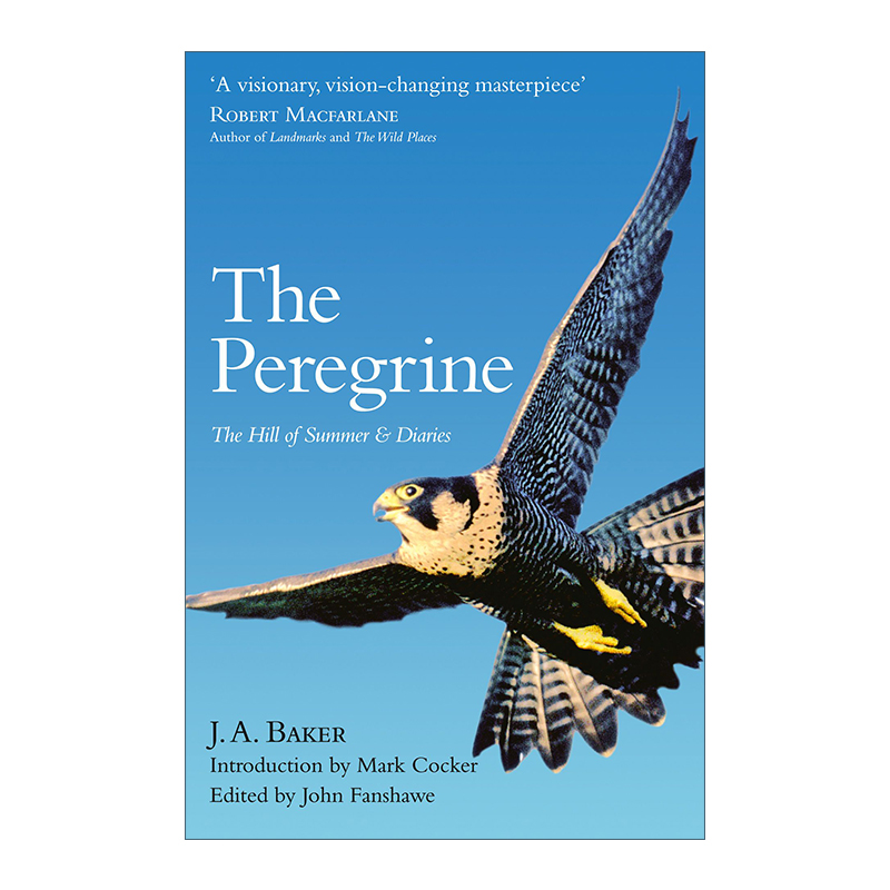 英文原版 The Peregrine游隼夏日山间 J.A.贝克自然文学集英文版进口英语原版书籍