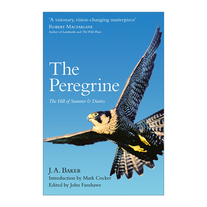 英文原版 The Peregrine 游隼 夏日山间 J.A.贝克自然文学集 英文版 进口英语原版书籍