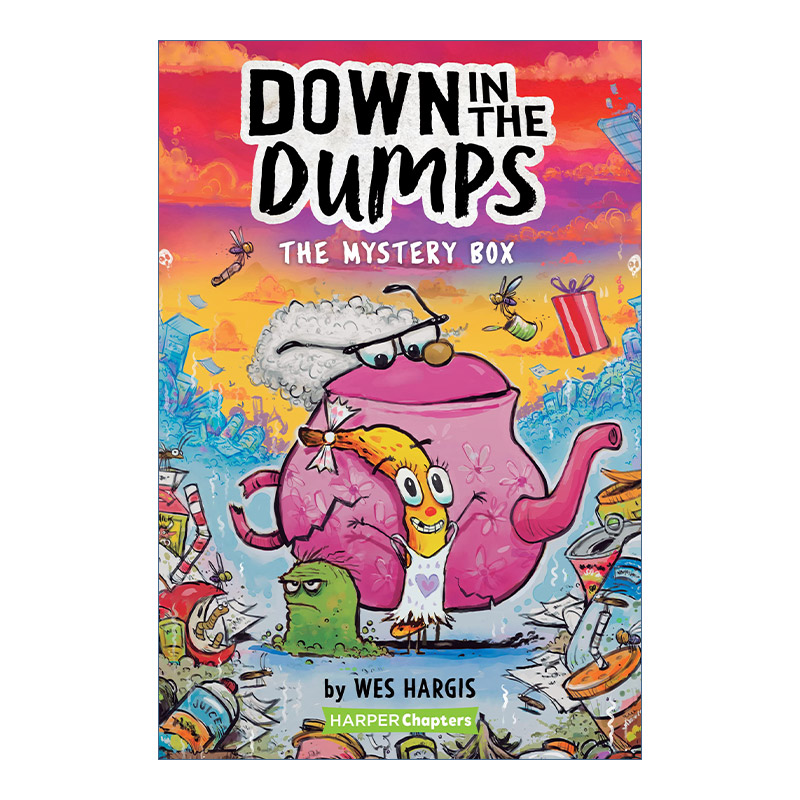 英文原版 Down in the Dumps #1 The Mystery Box 垃圾场里的友谊故事系列1 神秘盒子 全彩章节书 英文版 进口英语原版书籍