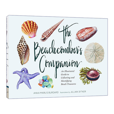 英文原版 Beachcomber's Companion 海浪伴侣 收集鉴别海滩珍宝指南 精装 英文版 进口英语原版书籍