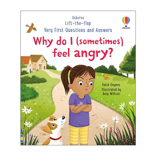 英文原版 Usborne Lift-the-flap Very First Questions and Answers Why do I sometimes feel angry 幼儿你问我答科普翻翻书