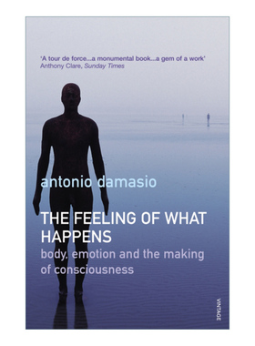 英文原版 The Feeling Of What Happens 感受发生的一切 意识产生中的身体和情绪 安东尼奥·R.达马西奥 英文版 进口英语原版书籍