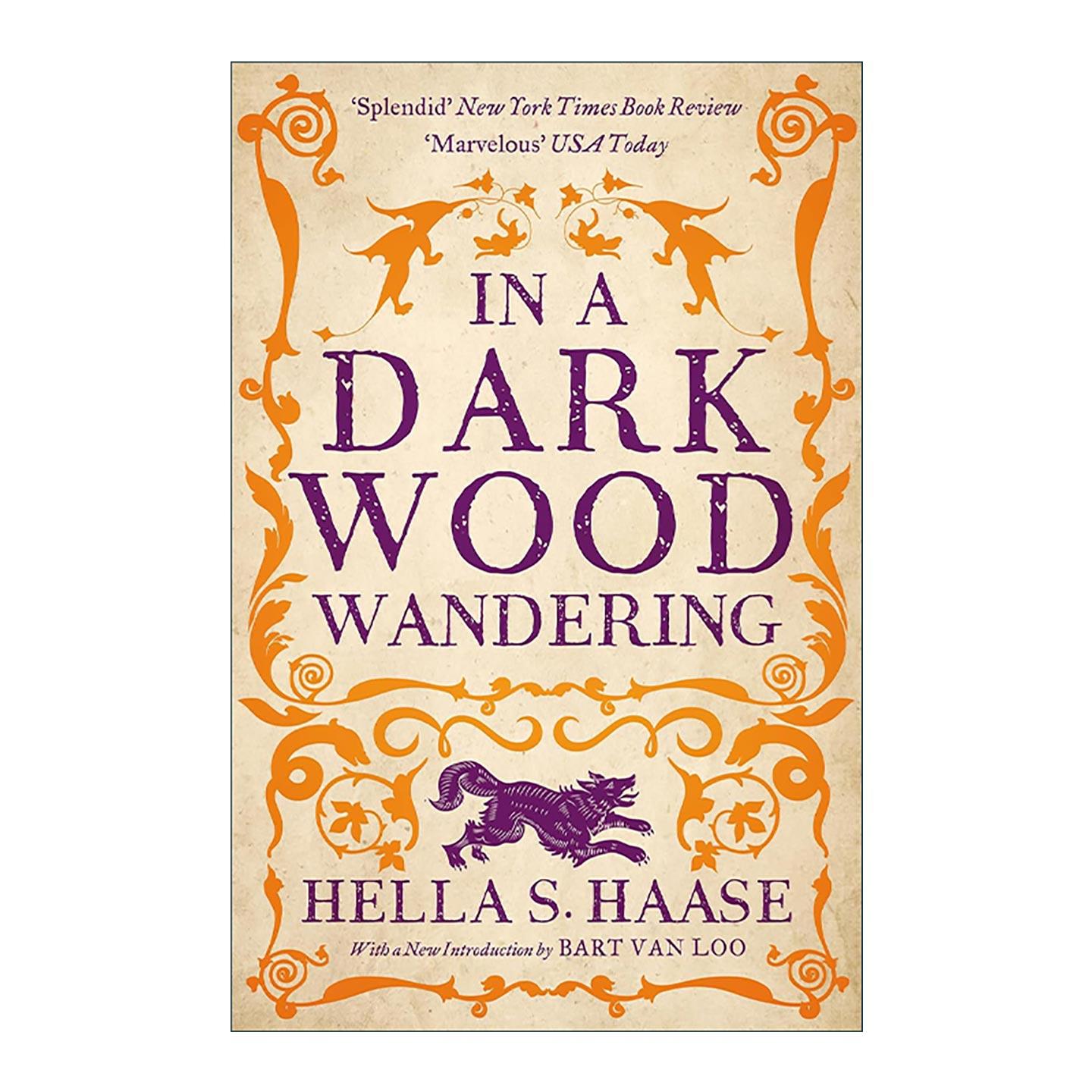 英文原版 In a Dark Wood Wandering 漫步暗林中 荷兰作家Hella S. Haasse 经典中世纪背景历史小说 英文版 进口英语原版书籍