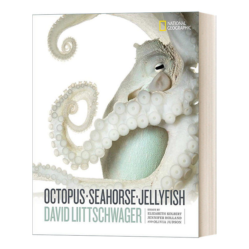 英文原版 Octopus Seahorse Jellyfish 章鱼、海马、水母 摄影集 英文版 进口英语原版书籍
