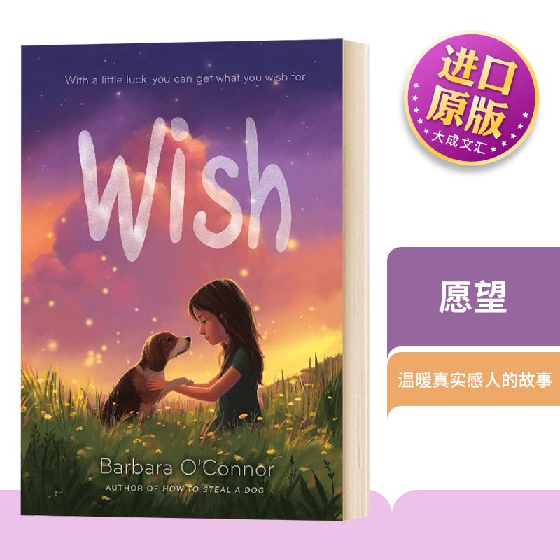 愿望 英文原版 wish 英文原版 进口英语书籍儿童图书