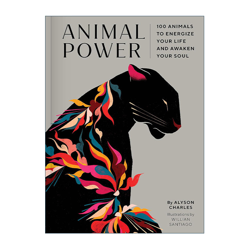 英文原版 Animal Power 动物的力量 精神启迪 精装 精美色彩插画 英文版 进口英语原版书籍