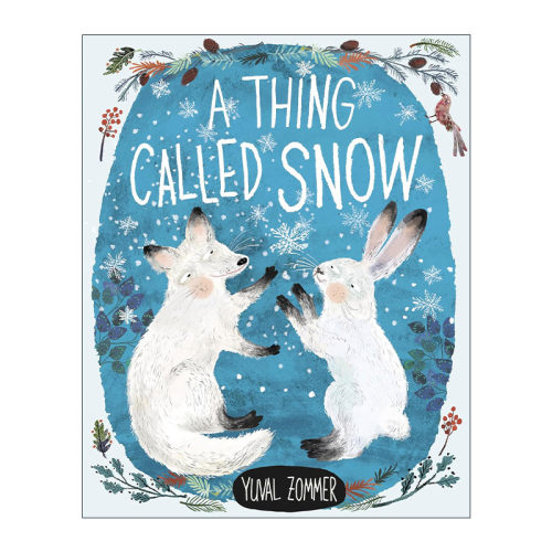 英文原版 A Thing Called Snow 一种叫做雪的东西 儿童自然精装绘本 脚下的世界作者尤瓦?左墨Yuval Zommer 进口英语原版书籍