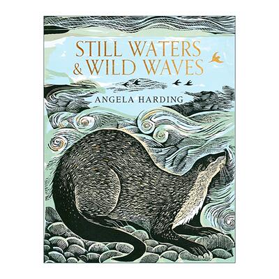 英文原版 Still Waters & Wild Waves 静水与狂浪 英国水域绘记 版画家之旅 艺术插画设定集精装 Angela Harding 进口英语原版书籍
