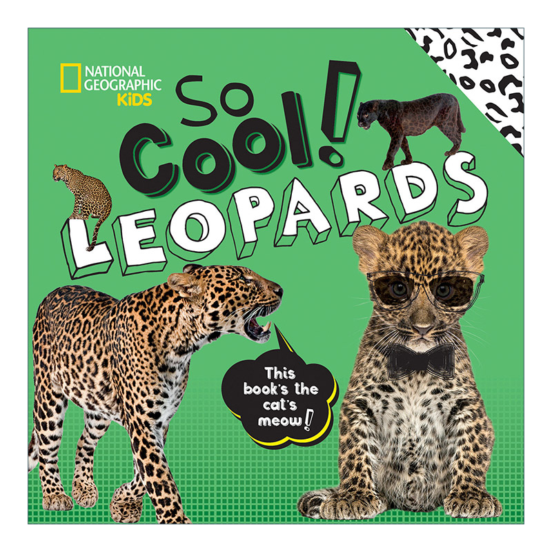 英文原版绘本 So Cool! Leopards Cool Cute 太酷了 猎豹 美国国家地理系列 儿童启蒙认知科普绘本 精装 英文版 进口英语原版书籍