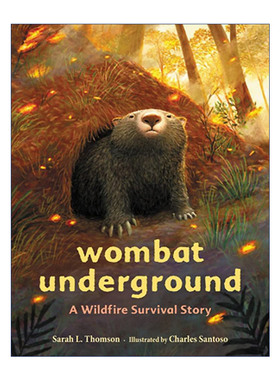 英文原版 Wombat Underground 袋熊的地下洞穴 山火生存动物故事精装绘本 英文版 进口英语原版书籍