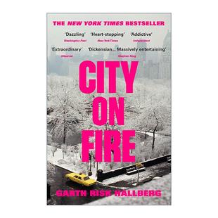 英文版 书籍 Fire Risk Hallberg小说 Garth 燃烧之城 进口英语原版 英文原版 美国纽约文化生活话题之作 City