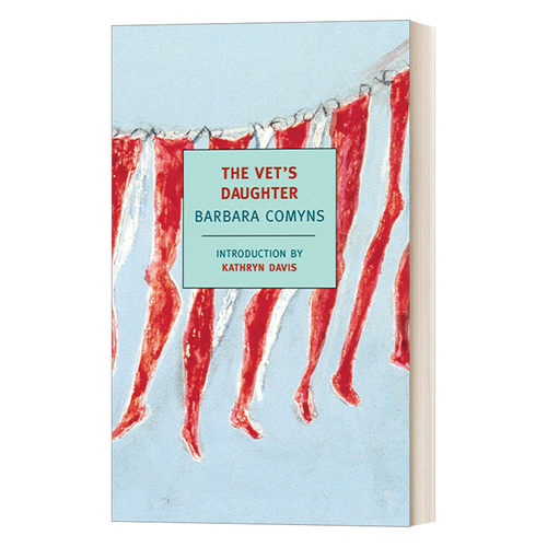 英文原版小说TheVet'sDaughte