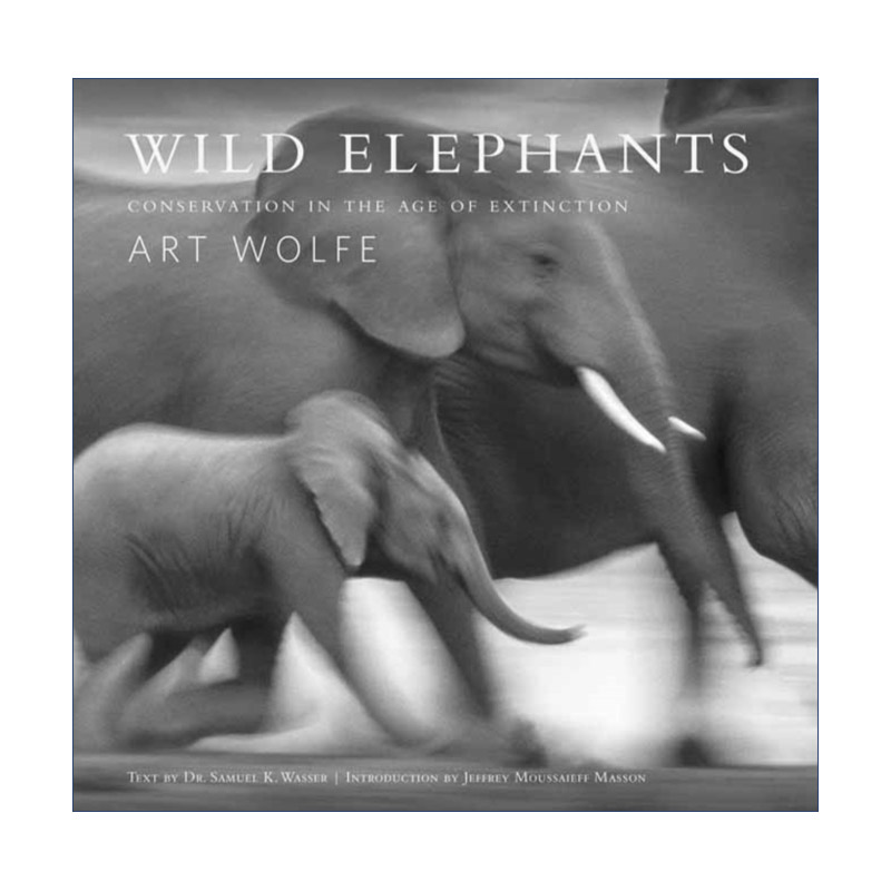 英文原版 Wild Elephants野生大象灭绝时代的保护阿特沃尔夫摄影集精装英文版进口英语原版书籍