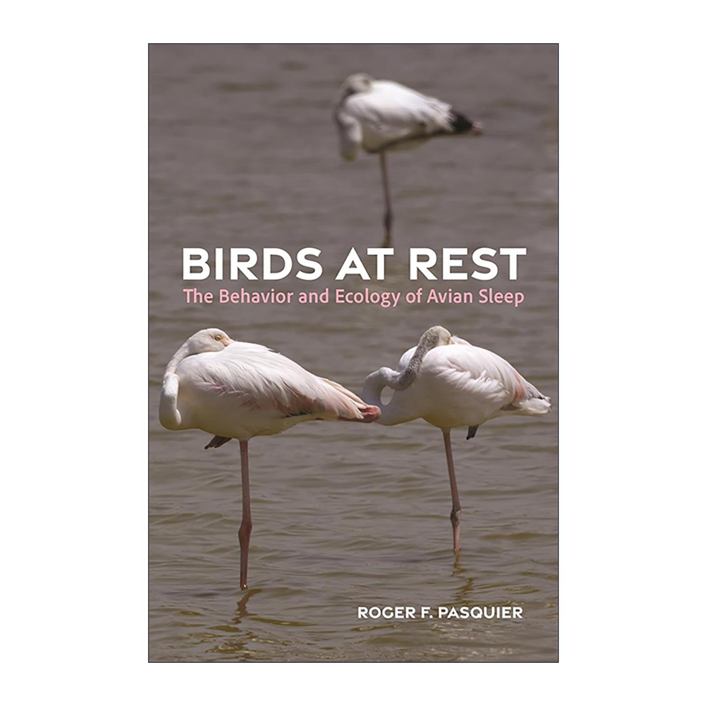 英文原版 Birds at Rest 休息中的鸟 鸟类休眠行为生态学 普林斯顿 Roger F. Pasquier 精装 英文版 进口英语原版书籍
