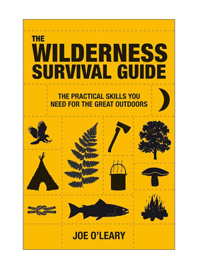 英文原版 The Wilderness Survival Guide 野外生存指南 丛林 荒野技巧 露营 Joe O'Leary 英文版 进口英语原版书籍