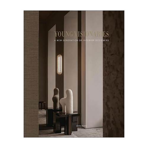 英文原版 Young Visionaries A New Generation of Interior Designers 新锐力量 全球新锐设计师私宅项目精装 家居装饰室内设计
