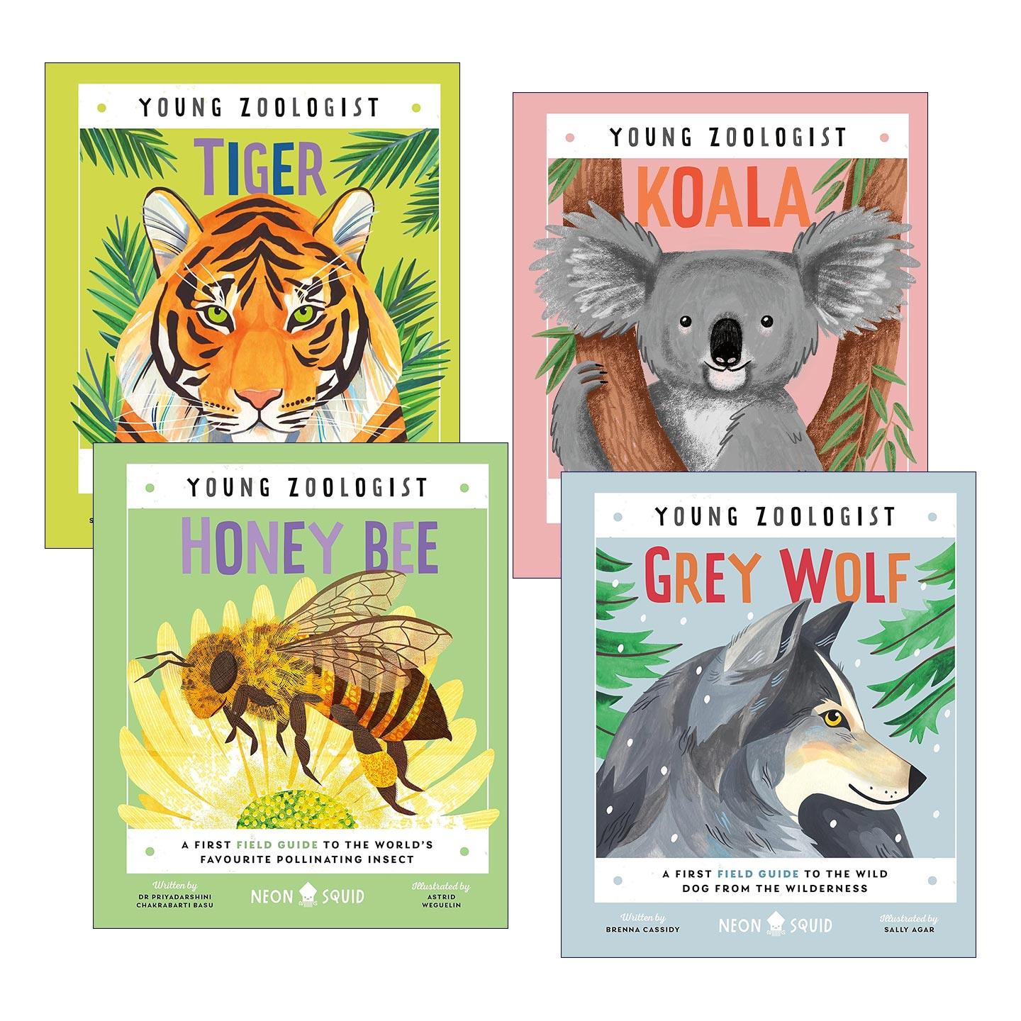 英文原版 Young Zoologist 小动物学家系列4册 蜜蜂/大灰狼/澳洲考拉/老虎 儿童科普百科绘本精装 英文版 进口英语原版书籍