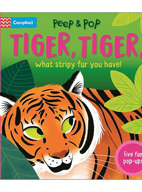 英文原版 Tiger Tiger What Stripy Fur You Have 老虎 老虎 条纹的皮毛 立体纸板书 英文版 进口英语原版书籍