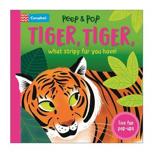 Stripy 书籍 进口英语原版 条纹 Tiger What 皮毛 You Fur 英文版 英文原版 Have 立体纸板书 老虎