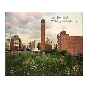The Revised Joel Walking 修订版 书籍 英文原版 摄影集精装 High Sternfeld 乔尔斯坦菲尔德 Edition Line 进口英语原版 漫步高线