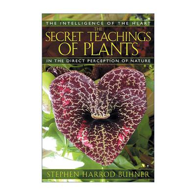 英文原版 The Secret Teachings of Plants 植物的秘密教导 英文版 进口英语原版书籍