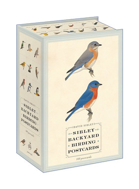 英文原版 Sibley Backyard Birding Postcards 西布利鸟类明信片 观鸟指南 David Sibley 英文版 进口英语原版书籍