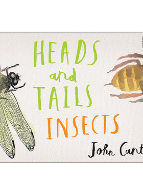 英文原版 Heads and Tails Insects 头部和尾部 儿童精装昆虫主题启蒙认知绘本 反义词 John Canty 英文版 进口英语原版书籍