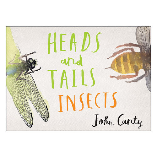 英文原版 Heads and Tails Insects 头部和尾部 儿童精装昆虫主题启蒙认知绘本 反义词 John Canty 英文版 进口英语原版书籍