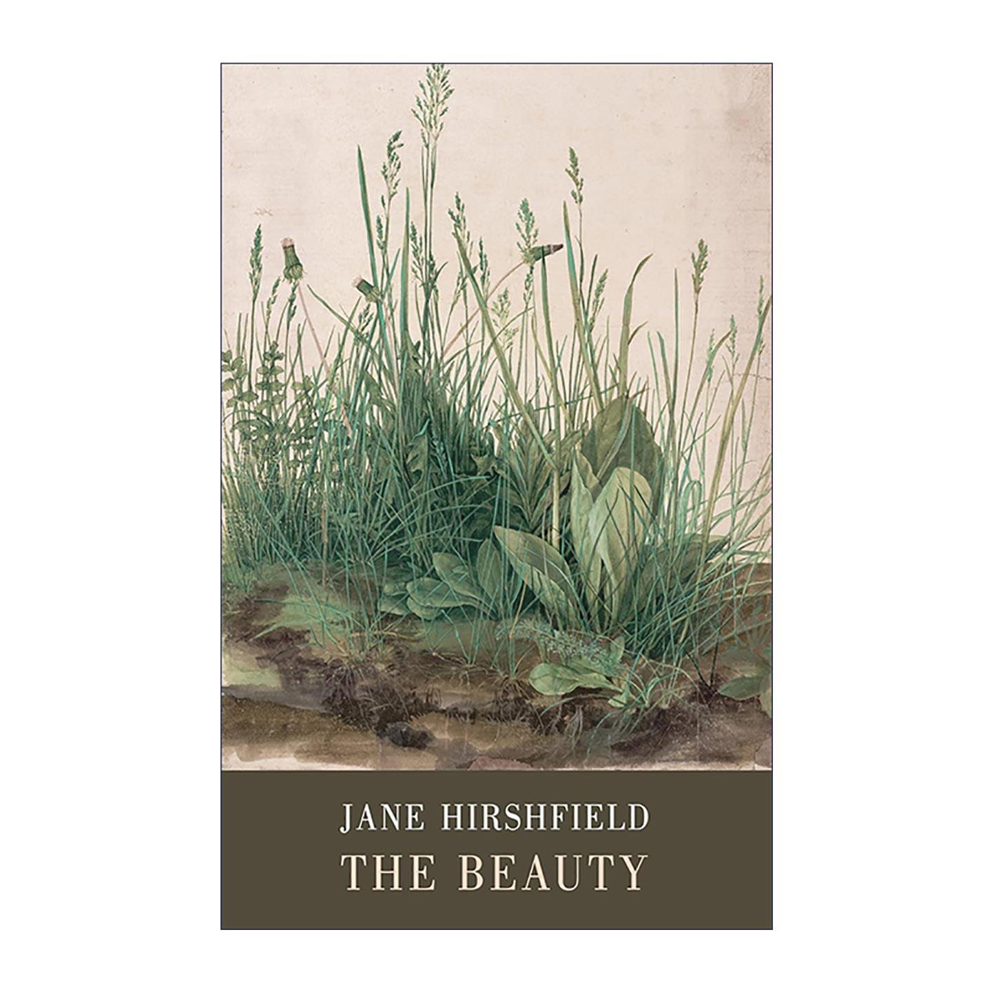 英文原版 The Beauty 美 无法言说 诗歌 十扇窗作者简·赫斯菲尔德 英文版 进口英语原版书籍