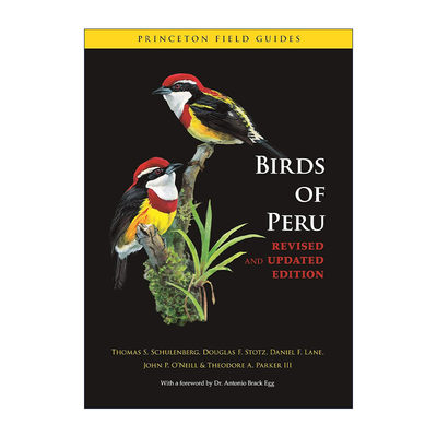 英文原版 Birds of Peru 秘鲁的鸟类 图鉴 修订版 普林斯顿野外指南 Thomas S. Schulenberg 英文版 进口英语原版书籍