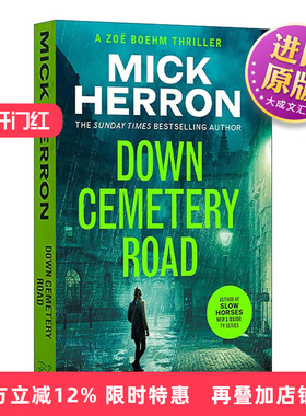 英文原版 Down Cemetery Road 墓园路尽头 惊悚悬疑推理小说 佐伊博姆惊悚系列1 Zoe Boehm Thrillers 流人系列作者米克·赫伦