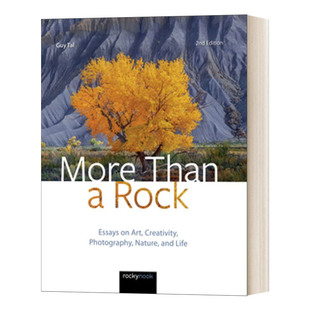英文原版 More Than a Rock 2nd Edition 不止一块石头 第二版 关于艺术 创意 摄影 自然和生活的文章 进口英语原版书籍