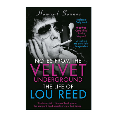 英文原版 Notes from the Velvet Underground 地下丝绒笔记 卢·里德传记 英文版 进口英语原版书籍