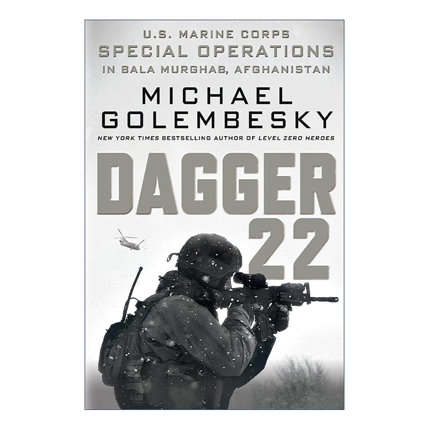 英文原版 Dagger 22 短剑22小队 美国海军陆战队在巴拉穆加布的特别行动 英文版 进口英语原版书籍