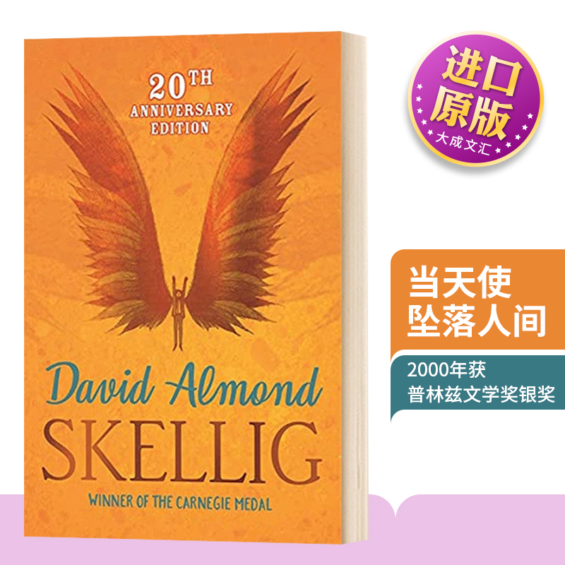 英文原版当天使坠落人间