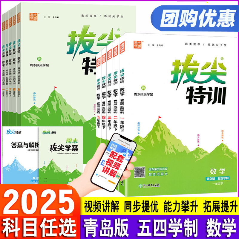 拔尖特训数学青岛版54制小学年级