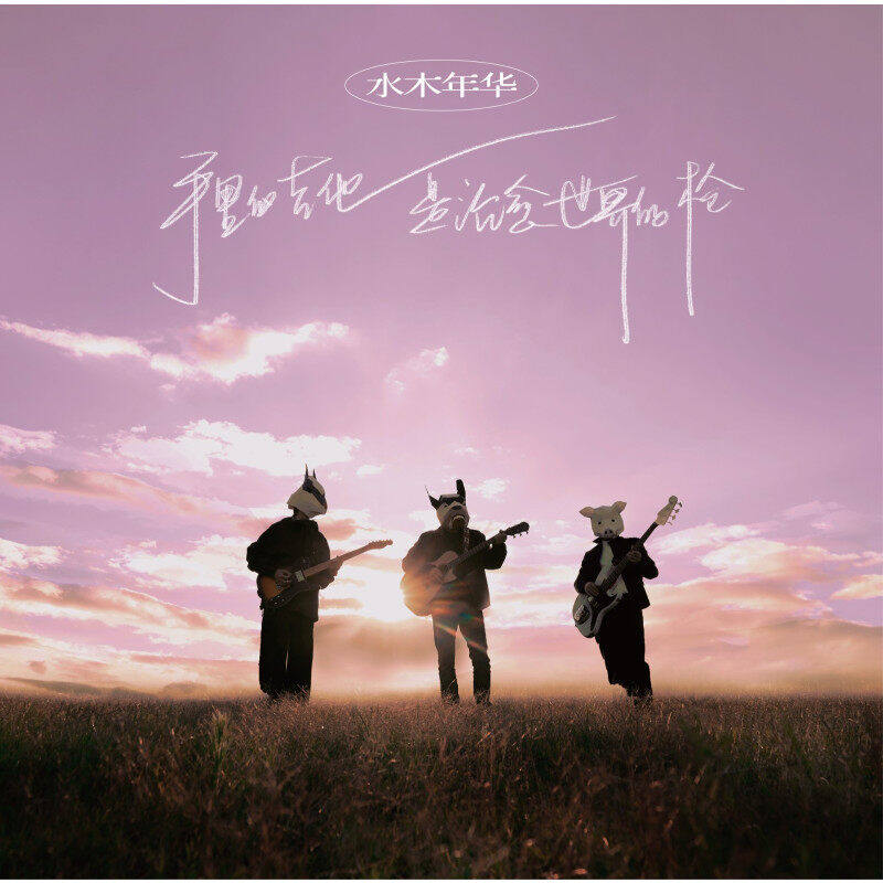 水木年华黑胶唱片正版 手里的吉他是治愈世界的枪 限量首版带编码