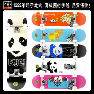 美国ENJOI整套ALMOST儿童尺寸双翘滑板熊猫整板7.0-7.75宽度DSM产