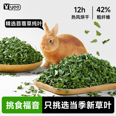 纯叶苜蓿草幼兔主粮烘干全叶子龙