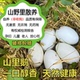 单枚130 140克纯天然新鲜散养大鹅蛋12枚现捡现发祛胎毒破损包赔