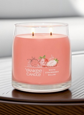 圣诞节 送点火器美国扬杨洋基yankee雅致手绘大瓶双烛芯蜡礼567克