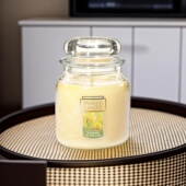 送点火器杨洋扬基yankeecandle香薰蜡烛411g优典中瓶薰衣草节日礼