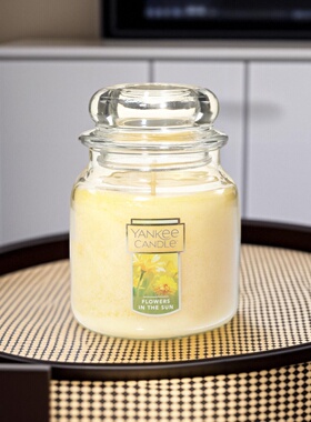 送点火器杨洋扬基yankeecandle香薰蜡烛411g优典中瓶薰衣草节日礼